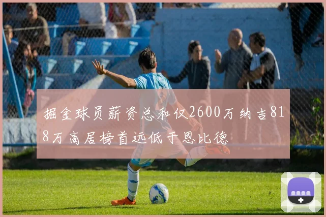 掘金球员薪资总和仅2600万纳吉818万高居榜首远低于恩比德