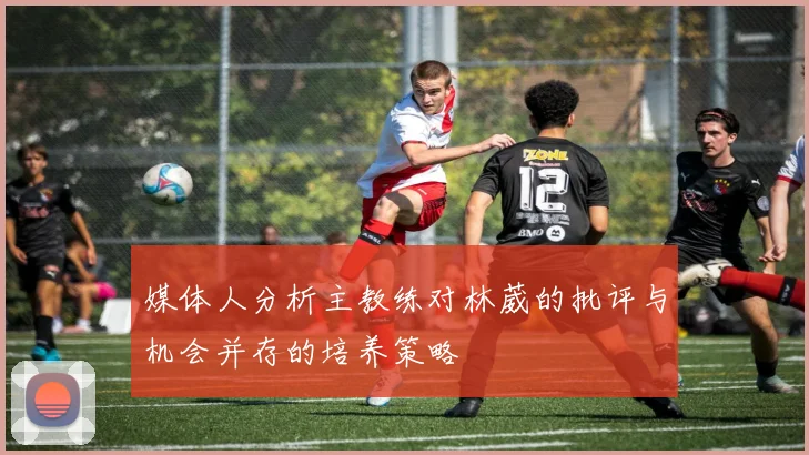 媒体人分析主教练对林葳的批评与机会并存的培养策略